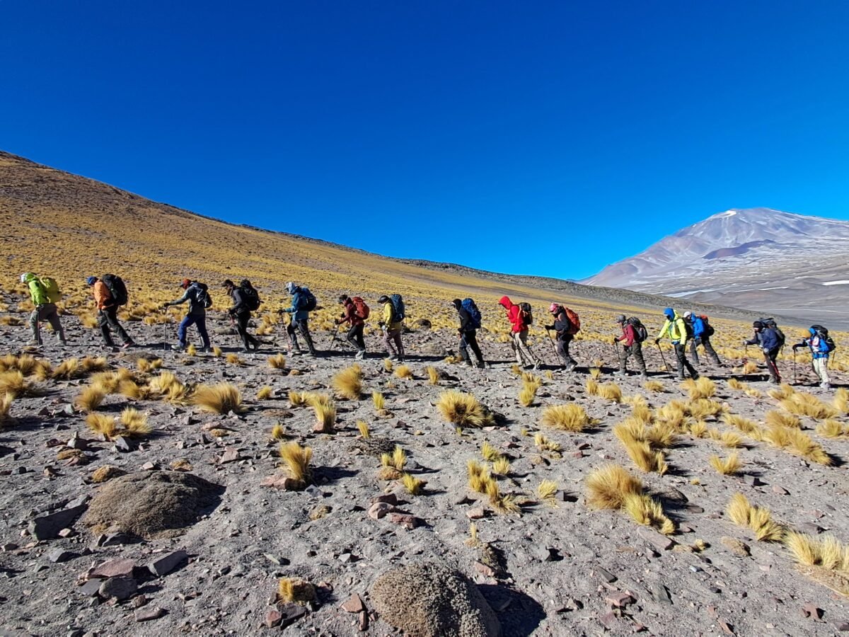 ALTURA -Taller Intensivo San Francisco 6040mts. (C.I.M.2)