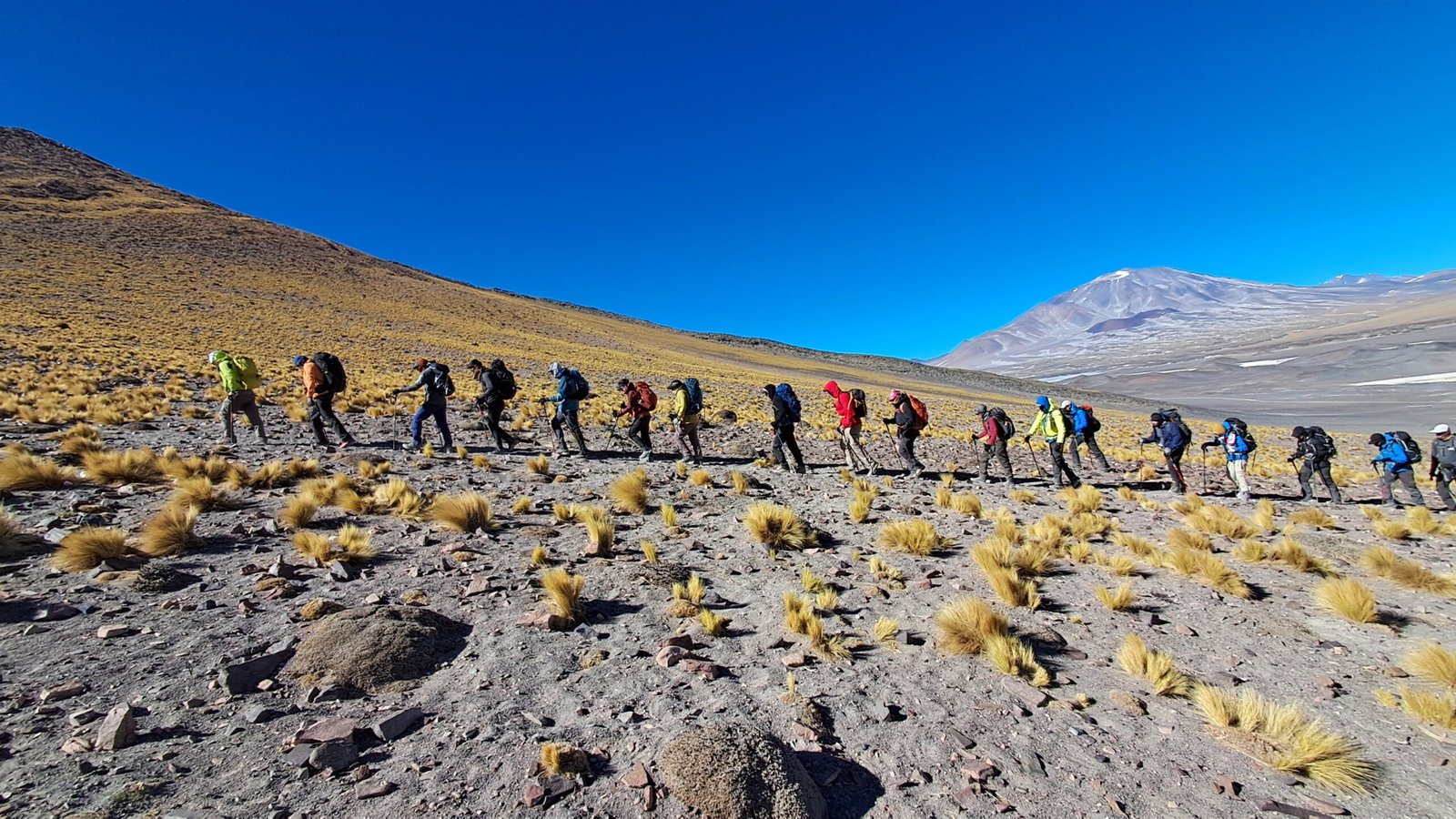 ALTURA -Taller Intensivo San Francisco 6040mts. (C.I.M.2)